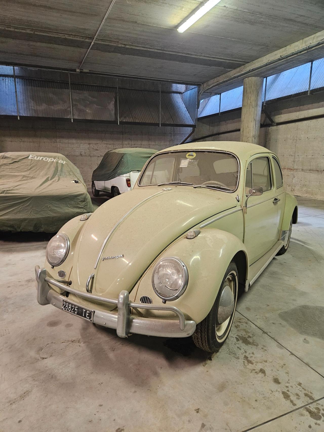 Volkswagen Maggiolino 6v