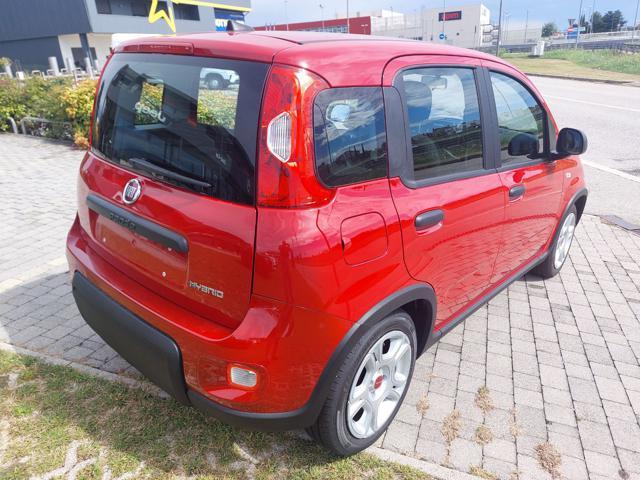 FIAT Panda 1.0 70cv Hybrid Panda My23