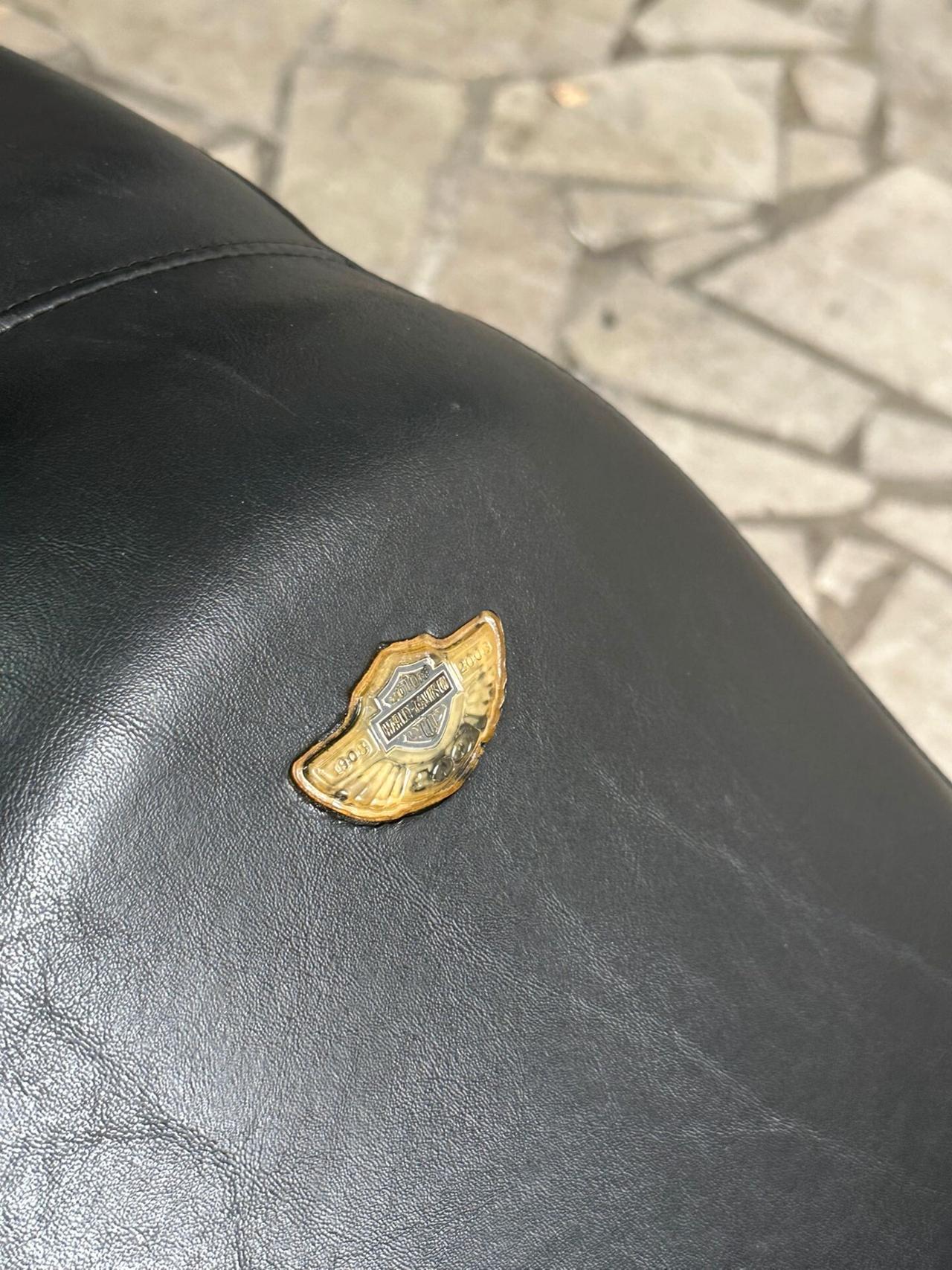 Harley-davidson Dyna Low Rider Centesimo Anniversario (100TH ANNIVERSARY).