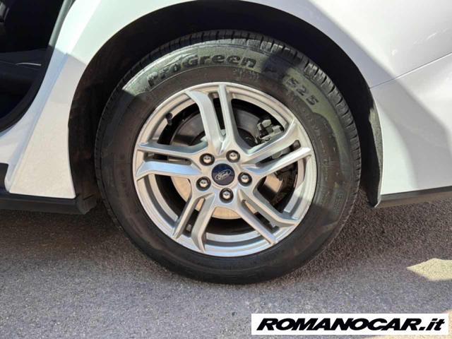 FORD Focus 1.5 EcoBlue 120 CV automatico SW Business Co-Pilot