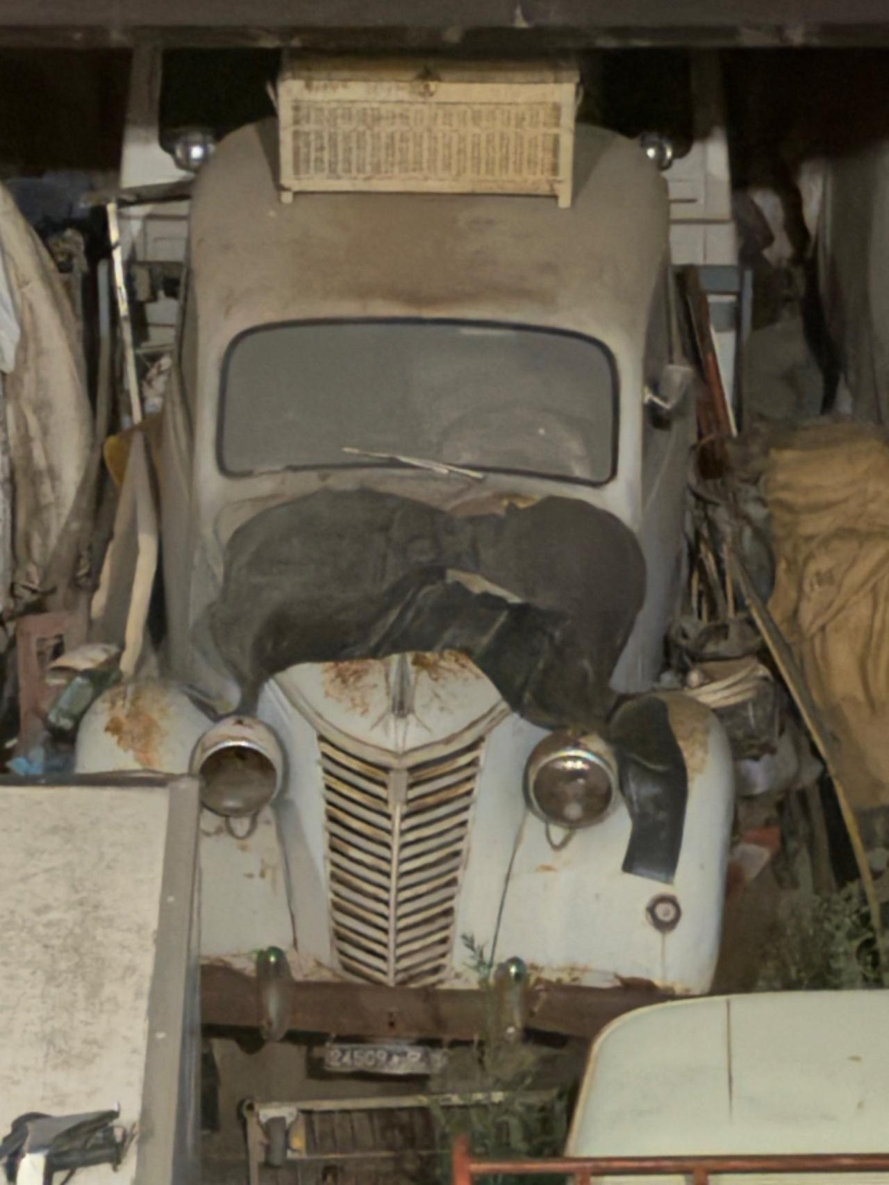 Fiat Altro 1100 musone