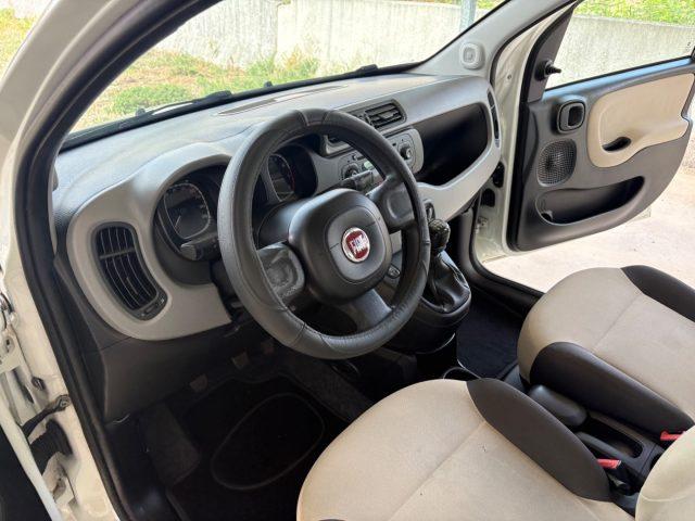 FIAT Panda 1.2 Easy EURO 5 BENZ OK NEOPATENTATI PRONTA CONS.