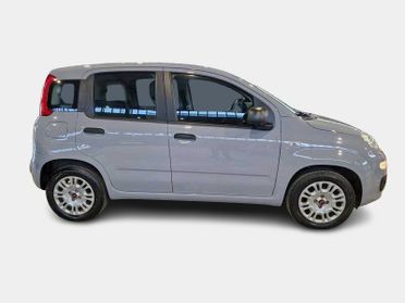 FIAT PANDA 1.2 69cv S/S E6d-Temp Easy 5 PORTE