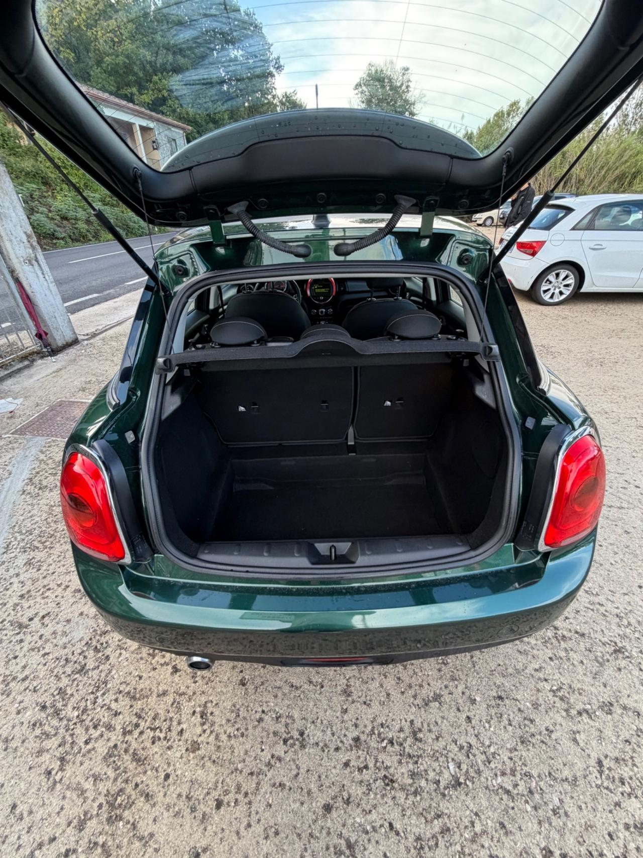 Mini 1.5 One D Hype