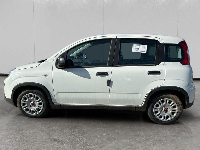 FIAT Panda 1.0 firefly hybrid s&s 70cv
