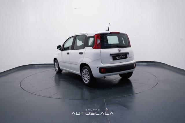 FIAT New Panda My25 1.0 FireFly S&S Hybrid