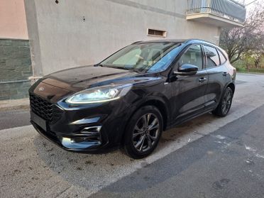 Ford Kuga 1.5 EcoBlue 120 CV 2WD ST-Line