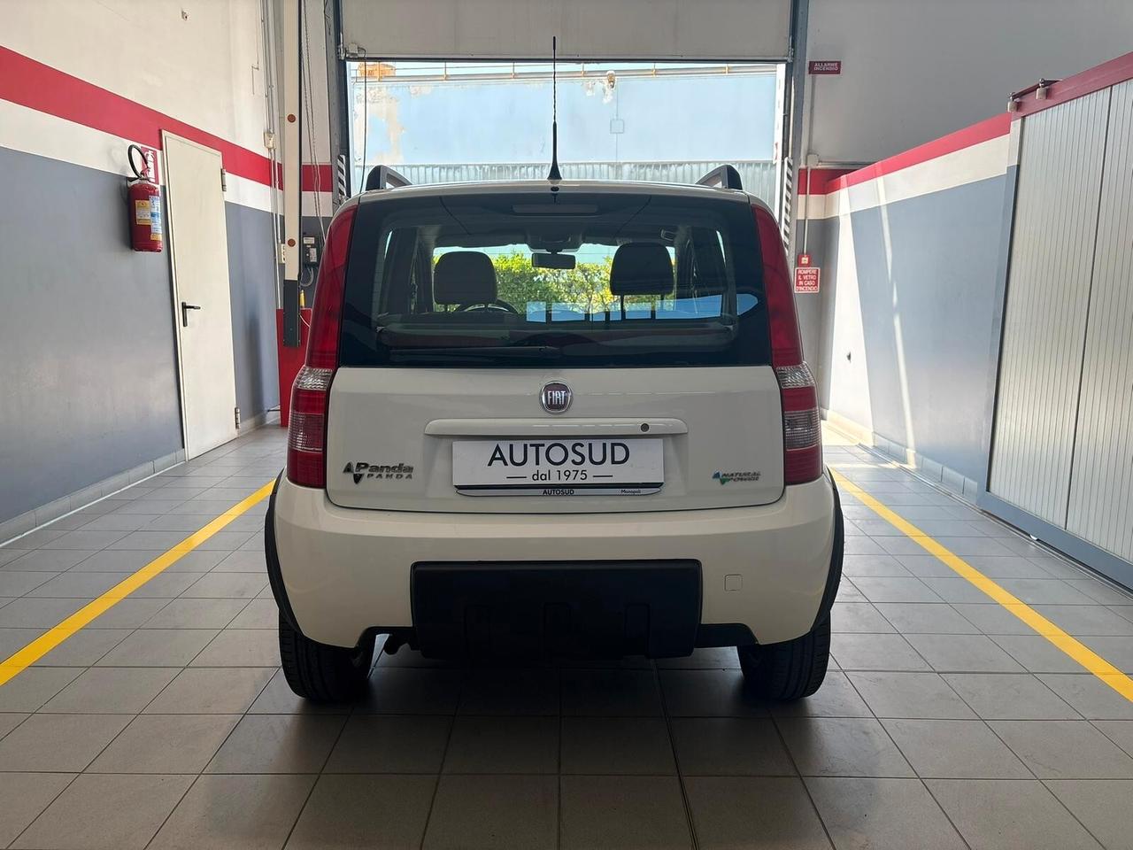 Fiat Panda 1.2 Climbing Natural Power