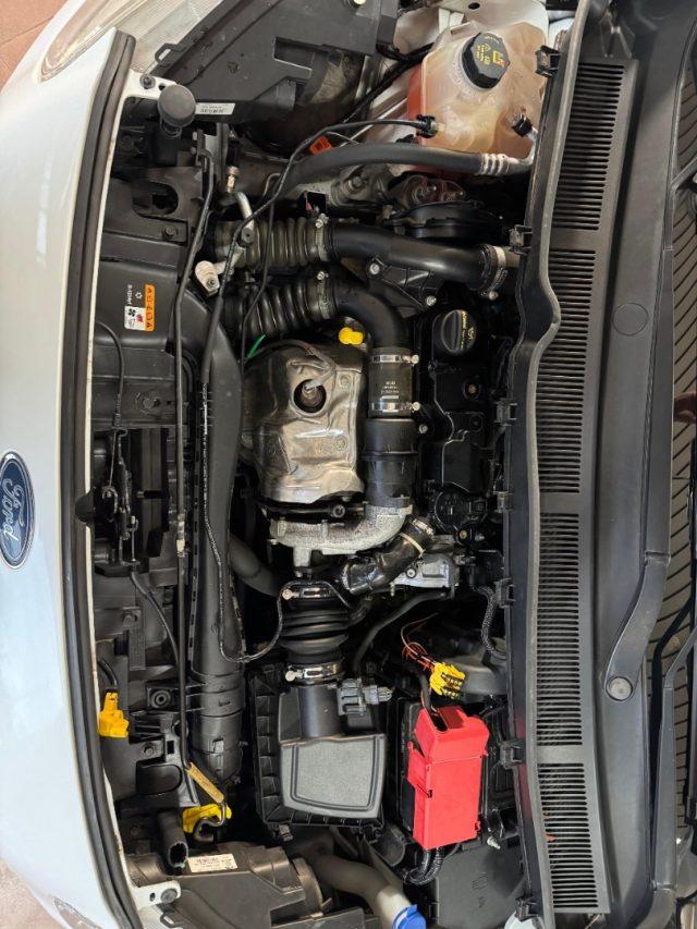 FORD Tourneo Courier 1.5 TDCI 75 CV S&S Plus