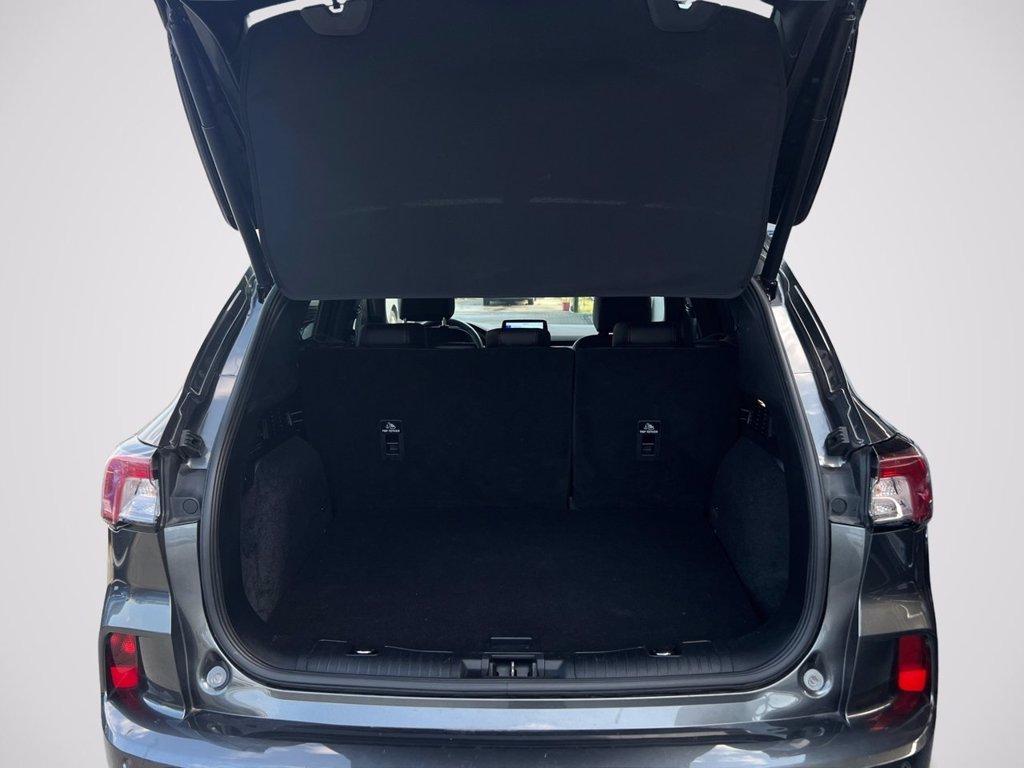 FORD Kuga 2.5 Plug In Hybrid 225 CV CVT 2WD ST-Line X del 2023