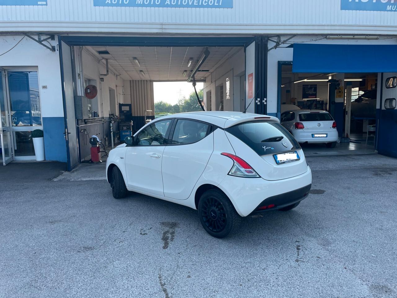 Lancia Ypsilon 1.2 69 CV 5 porte GPL Ecochic Elefantino