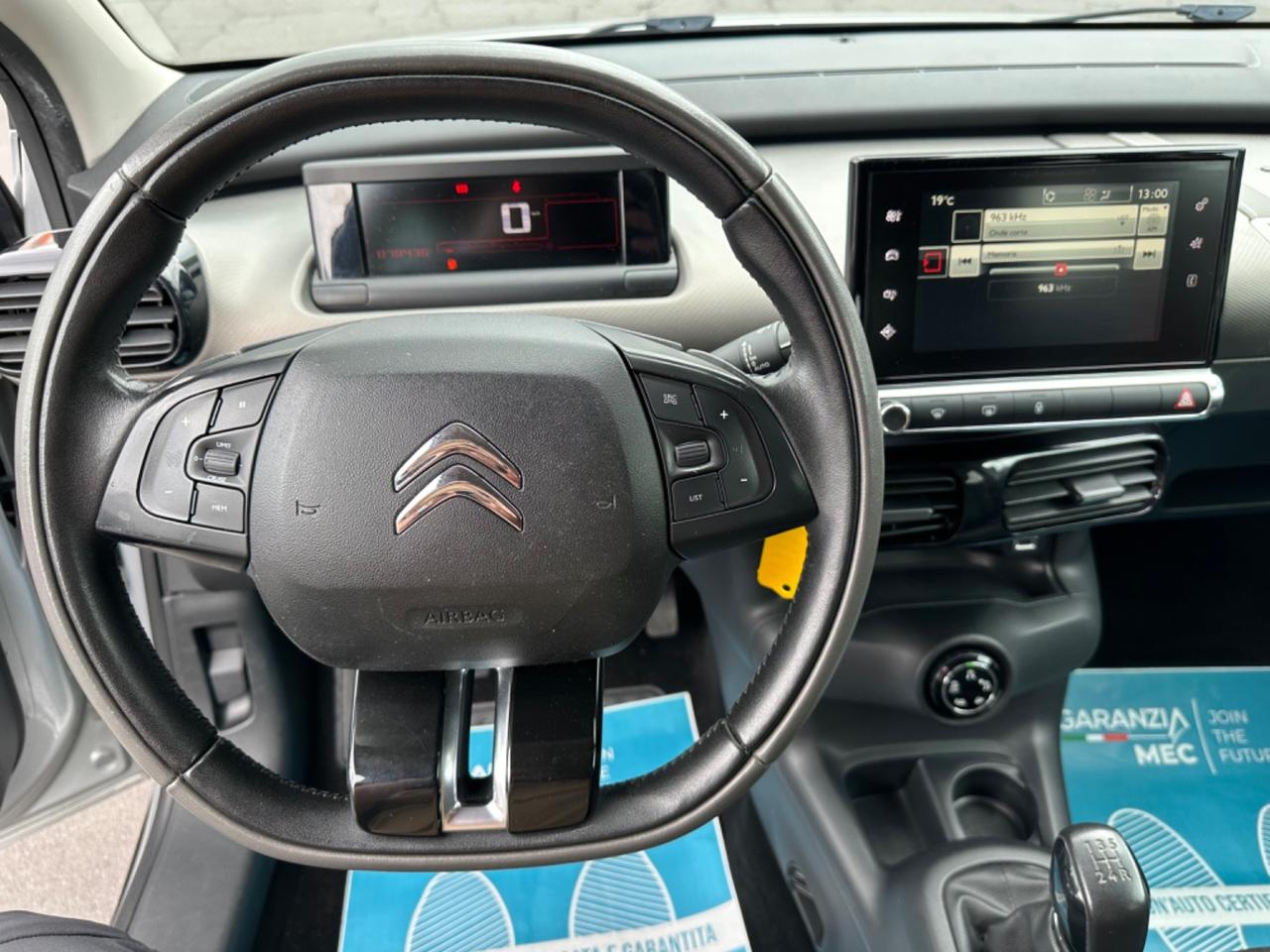 Citroen C4 Cactus BlueHDi 100 Rip Curl