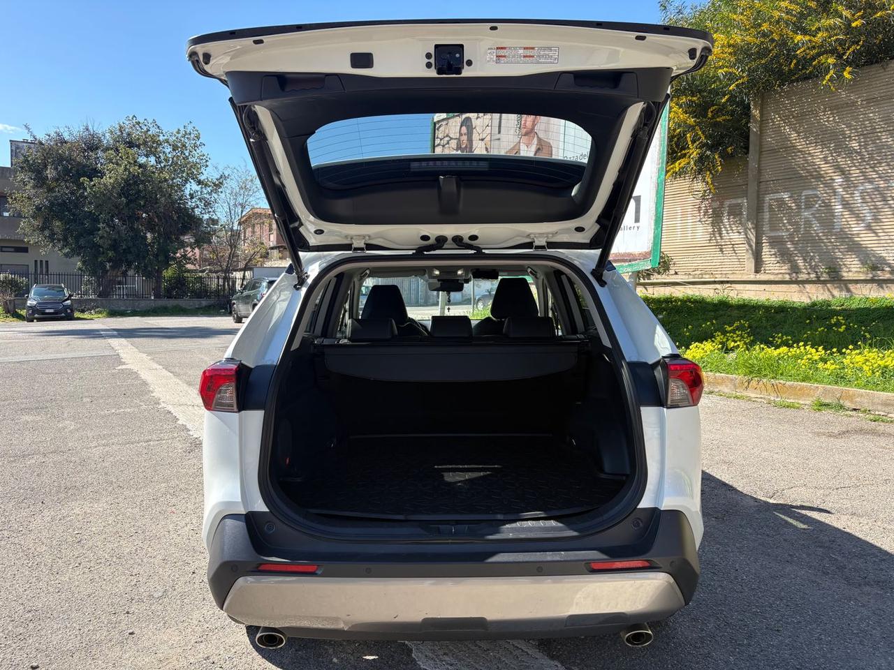 Toyota RAV 4 2.5 VVT-i HEV Lounge #10133