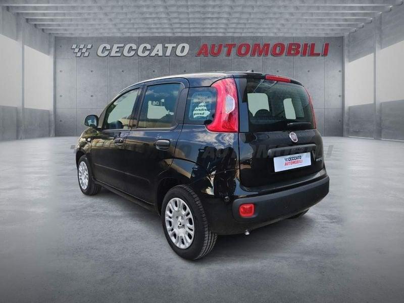 FIAT Panda Panda 1.0 70cv Hybrid Icon