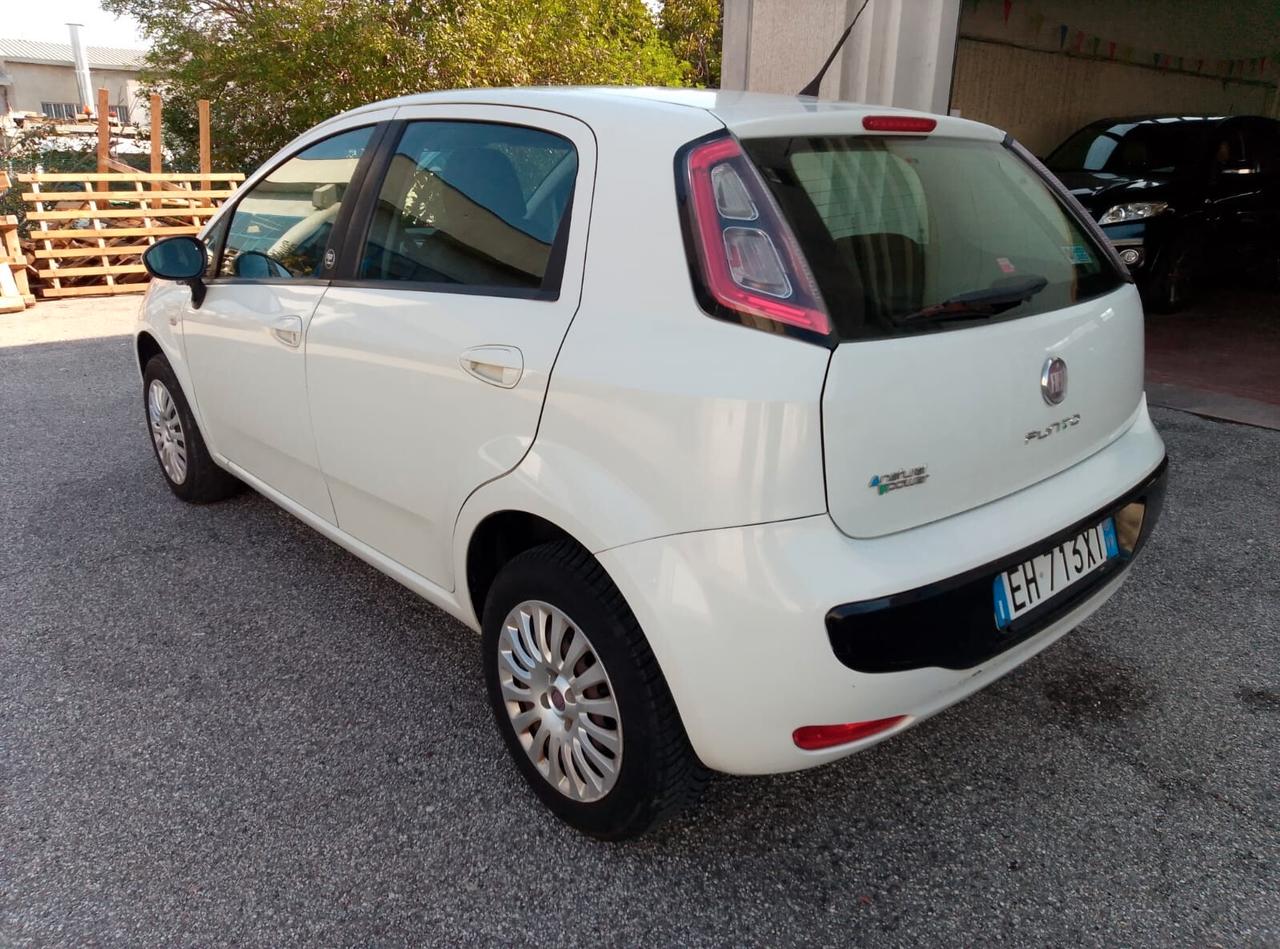 Fiat Punto Fiat Punto metano NEOPATENTATI OK