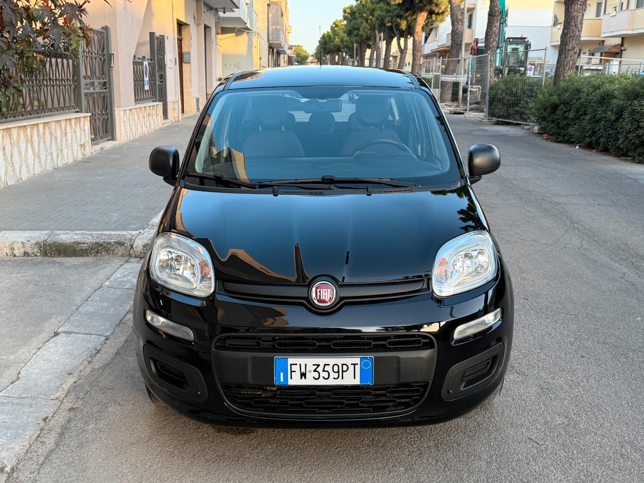 Fiat Panda 1.2 69CV Easy *5 POSTI - 2019