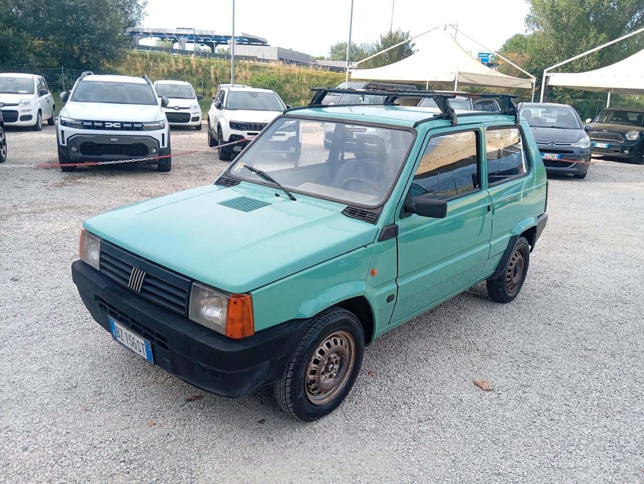 Fiat Panda 1100 i.e. cat Young