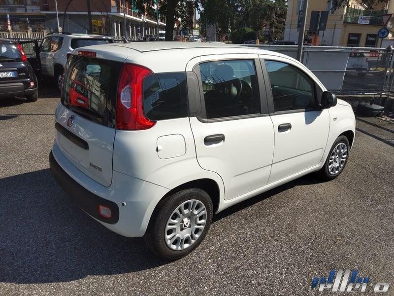 FIAT Panda MY25 1.0 70cv Hybrid