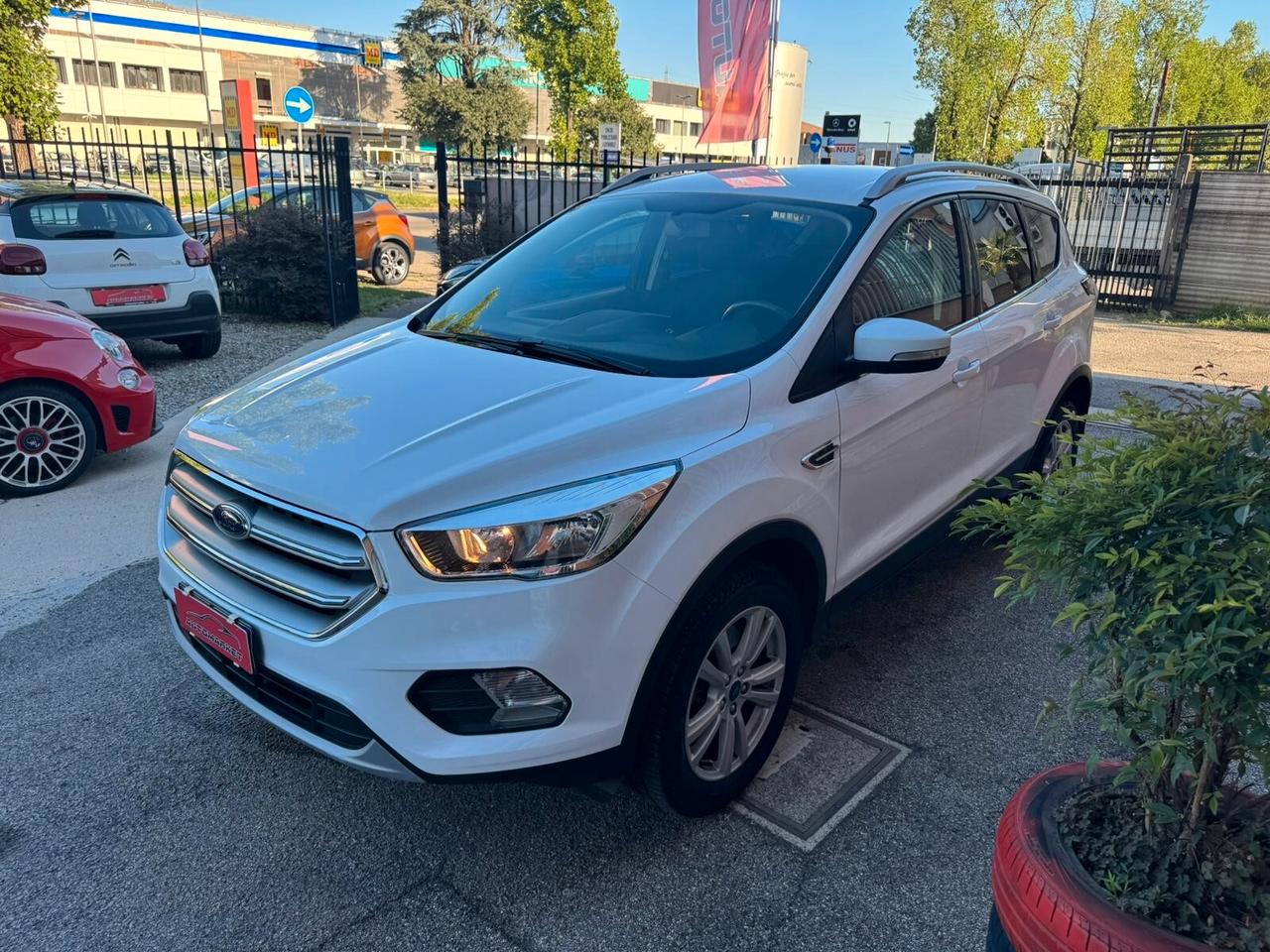 Ford Kuga 1.5 TDCI 120 CV 2WD Titanium