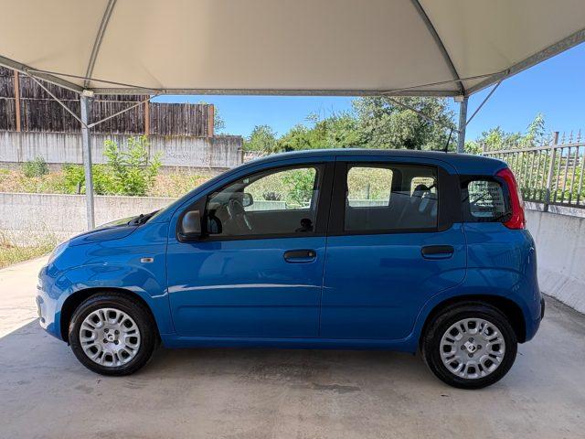 FIAT Pandina 1.0 FireFly 65 CV Hybrid Icon COME NUOVA