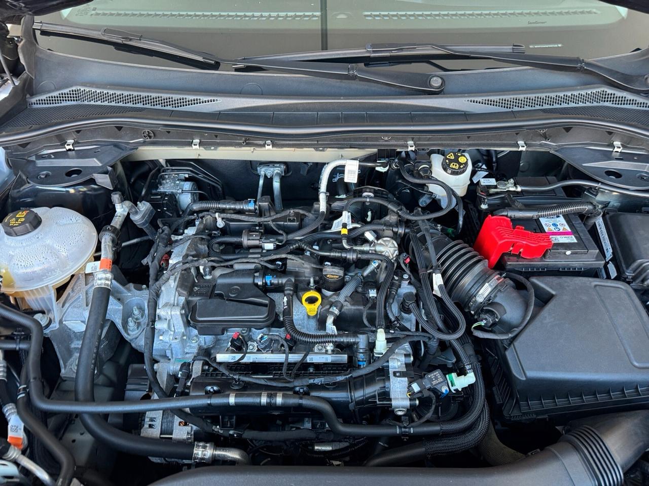 Ford Kuga 1.5 EcoBoost 150 CV 2WD Titanium