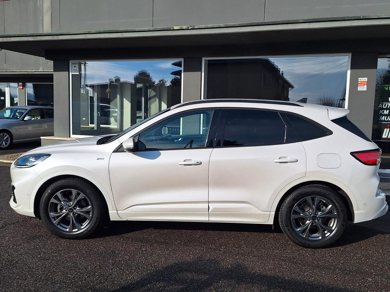 Ford Kuga 1.5 EcoBlue 120 CV aut. 2WD ST-Line X