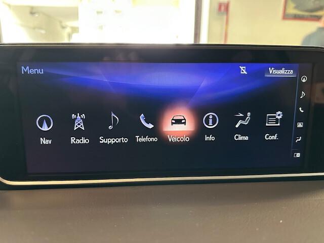 Lexus RX 450h Hybrid Luxury