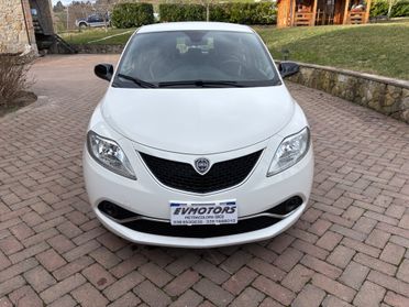 Lancia Ypsilon 1.2 69 CV 5 porte GPL Ecochic Gold OK NEOPATENTATI.