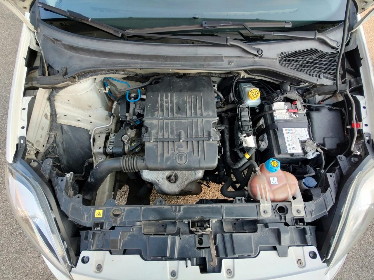 Fiat Punto 1.2 STREET 5 PORTE, EURO 6, BENZINA\GPL, OK NEOPATENTATI