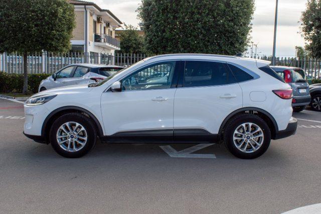 FORD Kuga 1.5 EcoBlue 120 CV 2WD Titanium