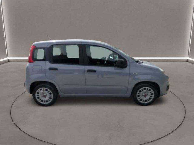 FIAT Panda 3ª serie - 1.0 FireFly S&S Hybrid