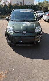 Fiat Panda 1.3 MJT S&S 4x4 Antartica