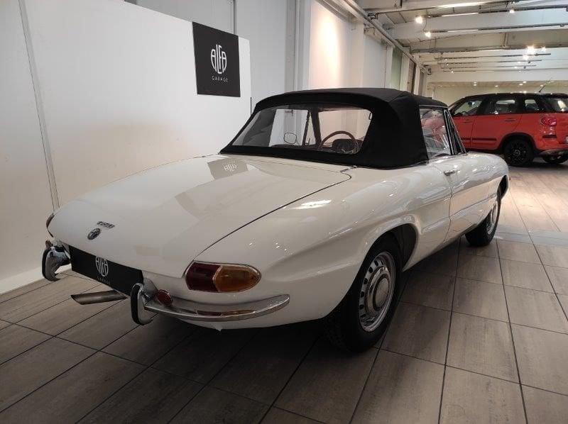 Alfa Romeo Spider 1750 Veloce "osso di seppia"