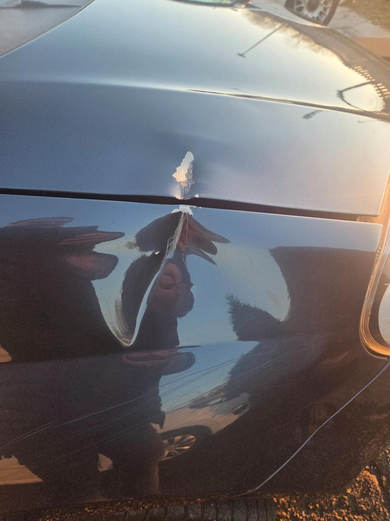 Fiat Punto Evo 1.4 5 porte Emotion GPL