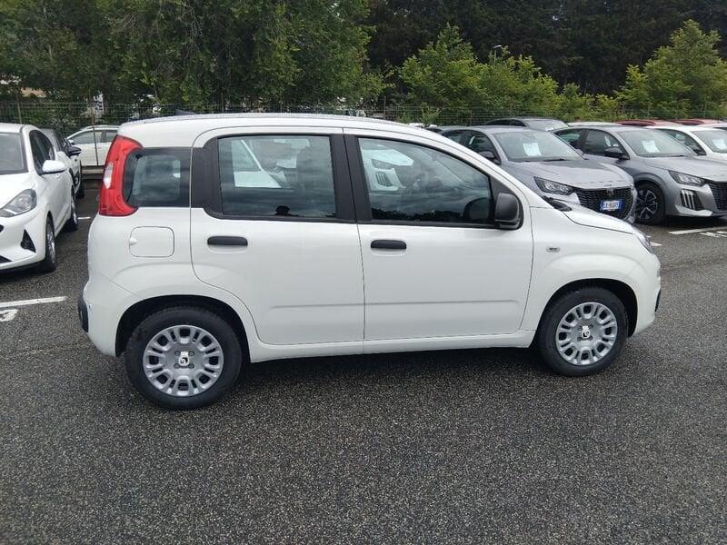 FIAT Panda New 1.0 70cv Hybrid Panda