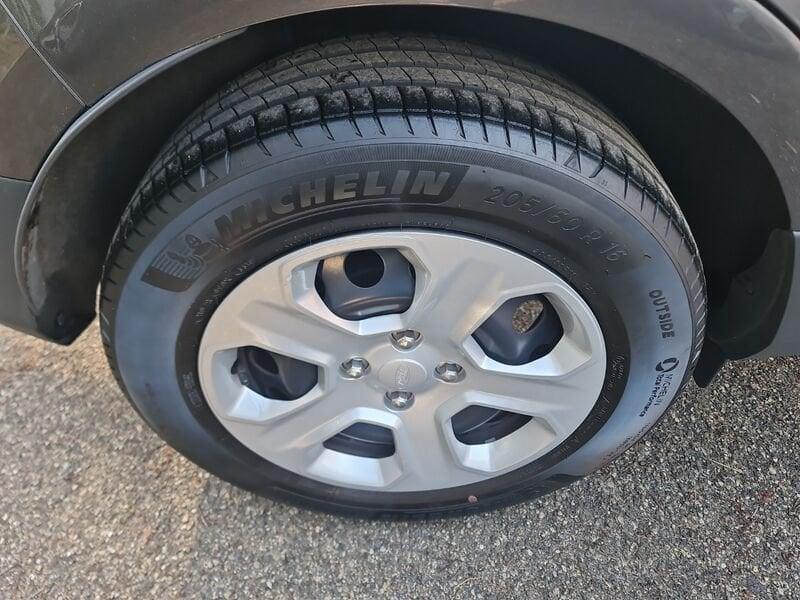 Ford EcoSport 1.0 EcoBoost 100 CV Business