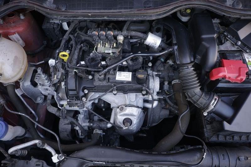 Ford Fiesta Ford Fiesta 1.1 75CV Titanium GPL Unicoproprietario