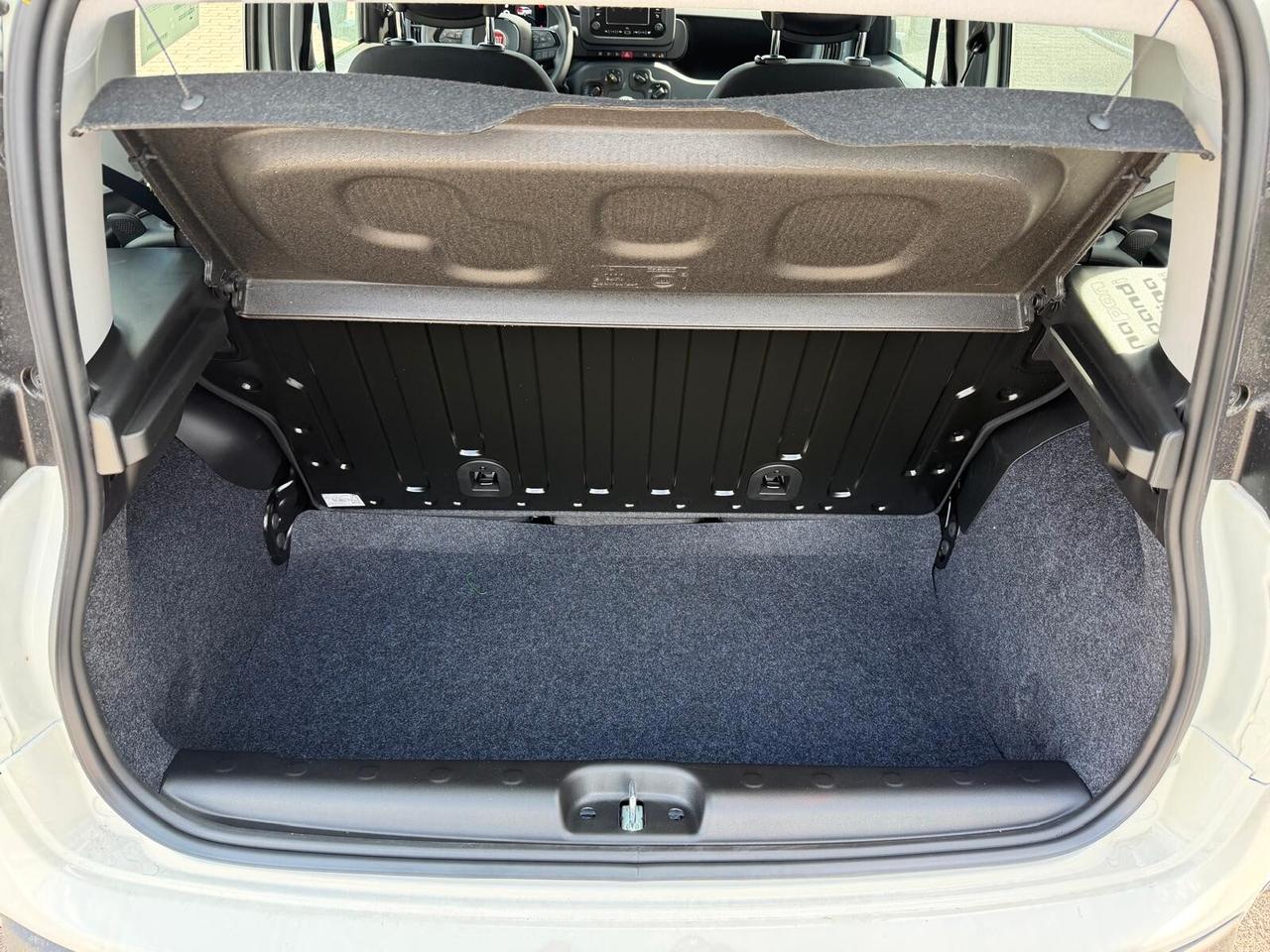 Fiat Panda Pandina 1.0 FireFly 65 CV Hybrid Icon