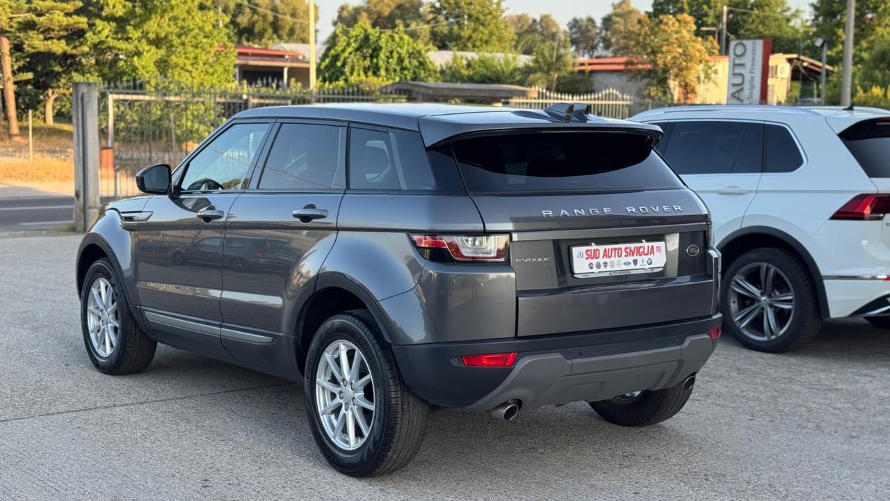 Range Rover Evoque 2.0 TD4 150 CV 5p. Pure Catena rumorosa