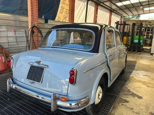 FIAT 1100 103 tv