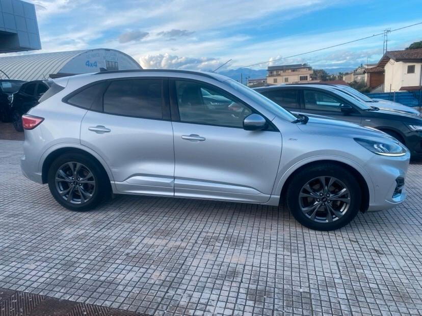 Ford Kuga 1.5 EcoBlue 120 CV 2WD ST-Line