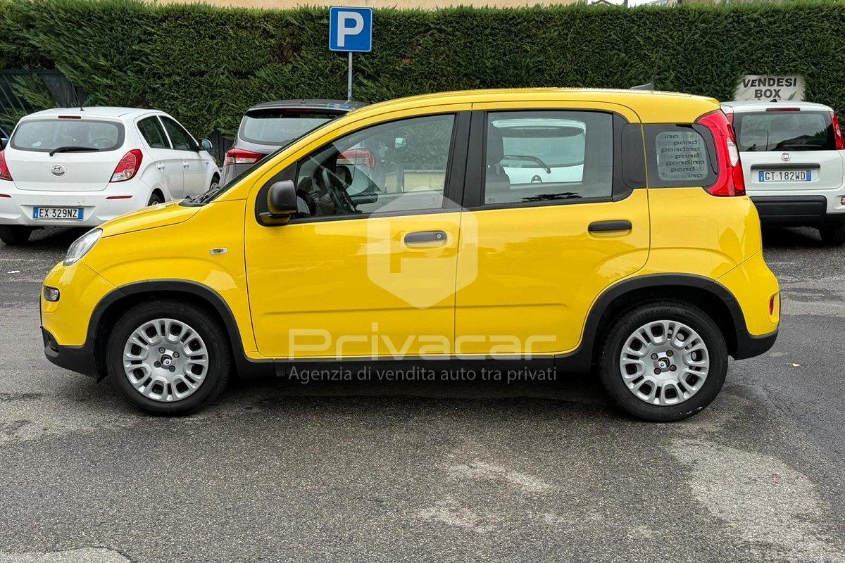 FIAT Panda 1.0 FireFly S&S Hybrid Pandina