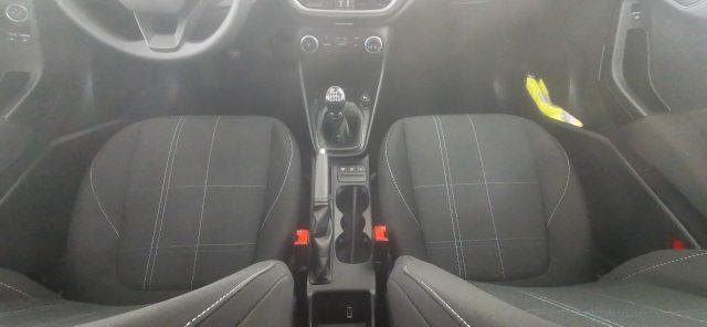 FORD Fiesta 1.5 EcoBlue 5 porte Business