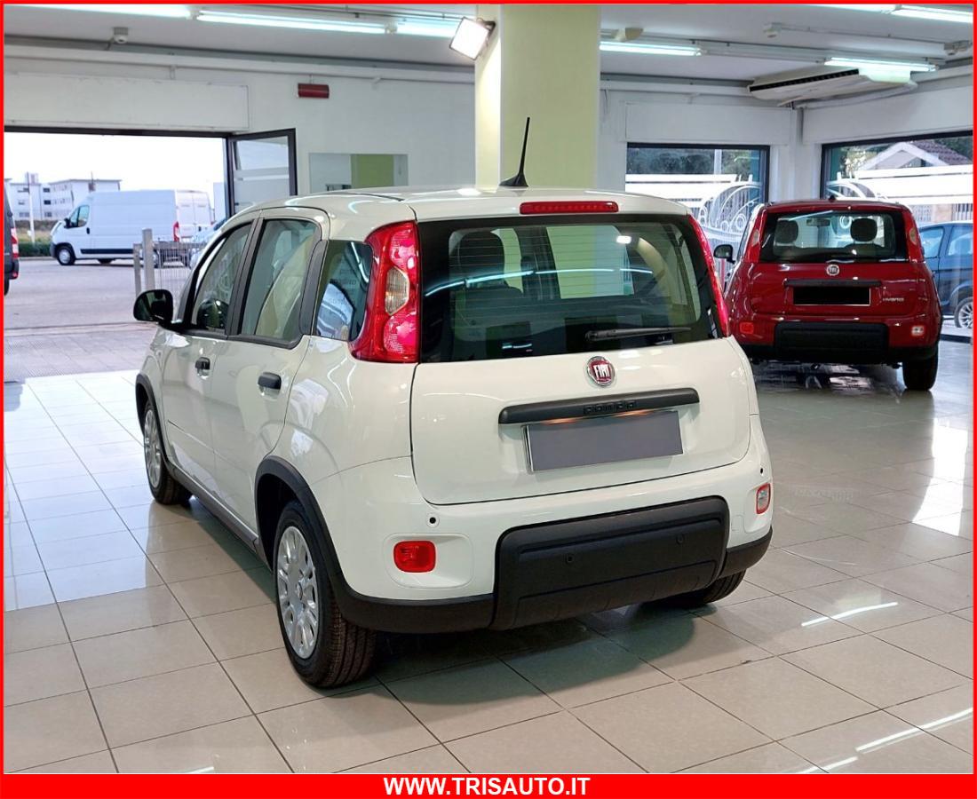 FIAT Panda 1.0 FireFly S&S Hybrid MY24 KM ZERO!!! IVATA NEOPATENTATI