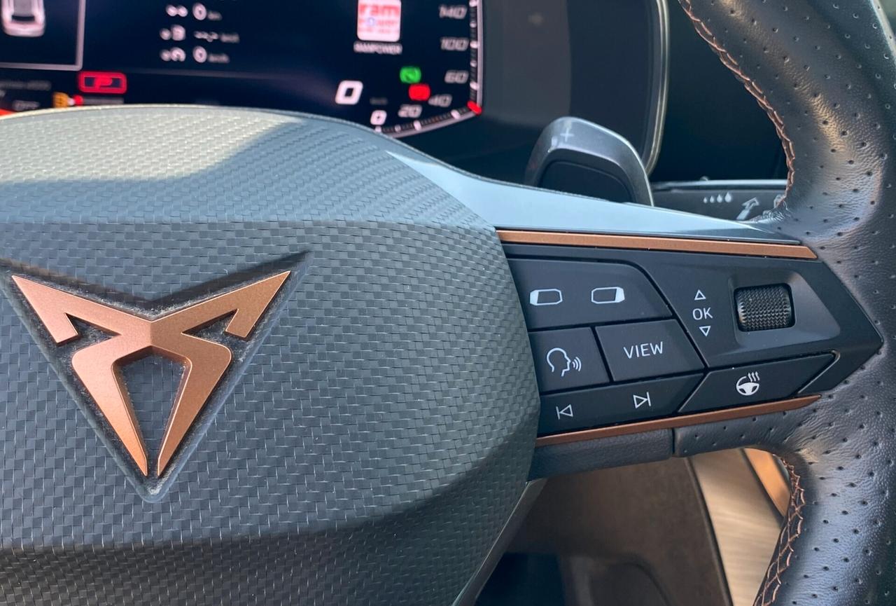 Cupra Formentor 2.0 TDI 150CV DSG 4drive Tetto