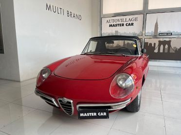 Alfa Romeo Spider duetto osso di seppia