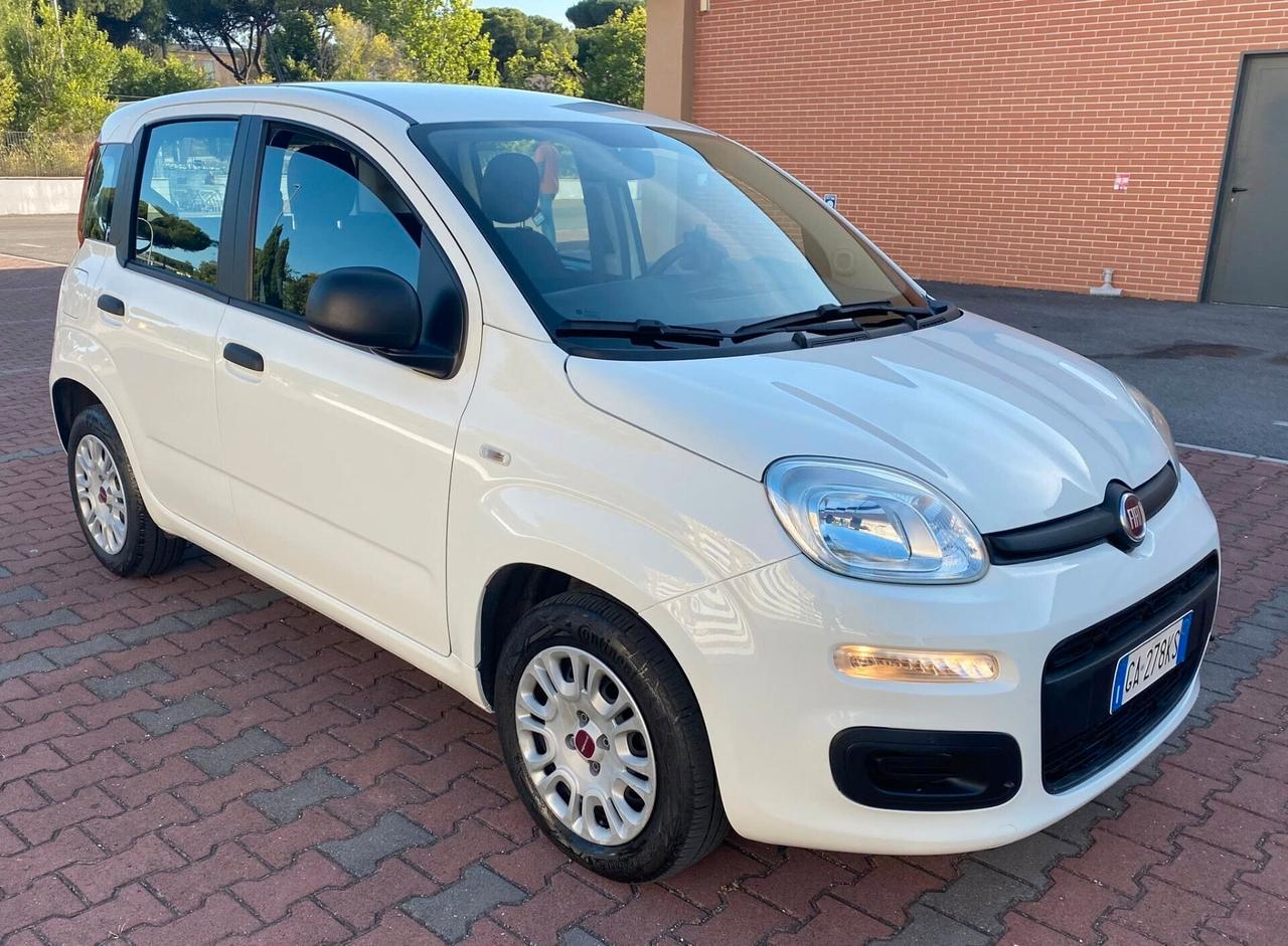 FIAT PANDA EASY 1.2cc OK NEO PATENTATI