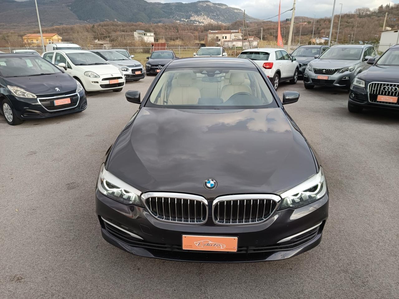 Bmw 520 i Business auto 184cv