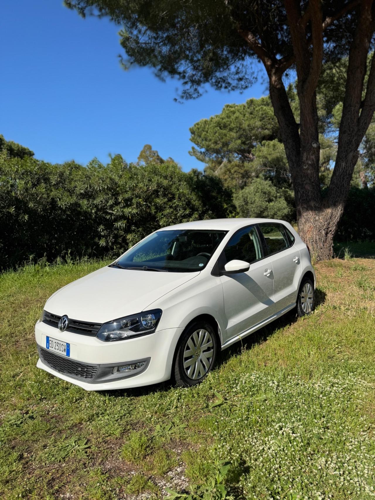 Volkswagen Polo 1.6 TDI DPF 5 porte Trendline