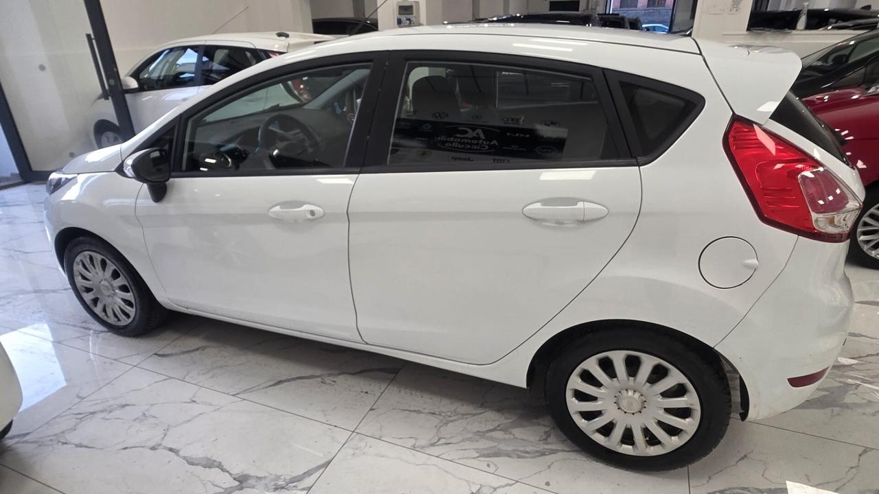 Ford Fiesta 1.5 TDCi 75CV 5 porte Business